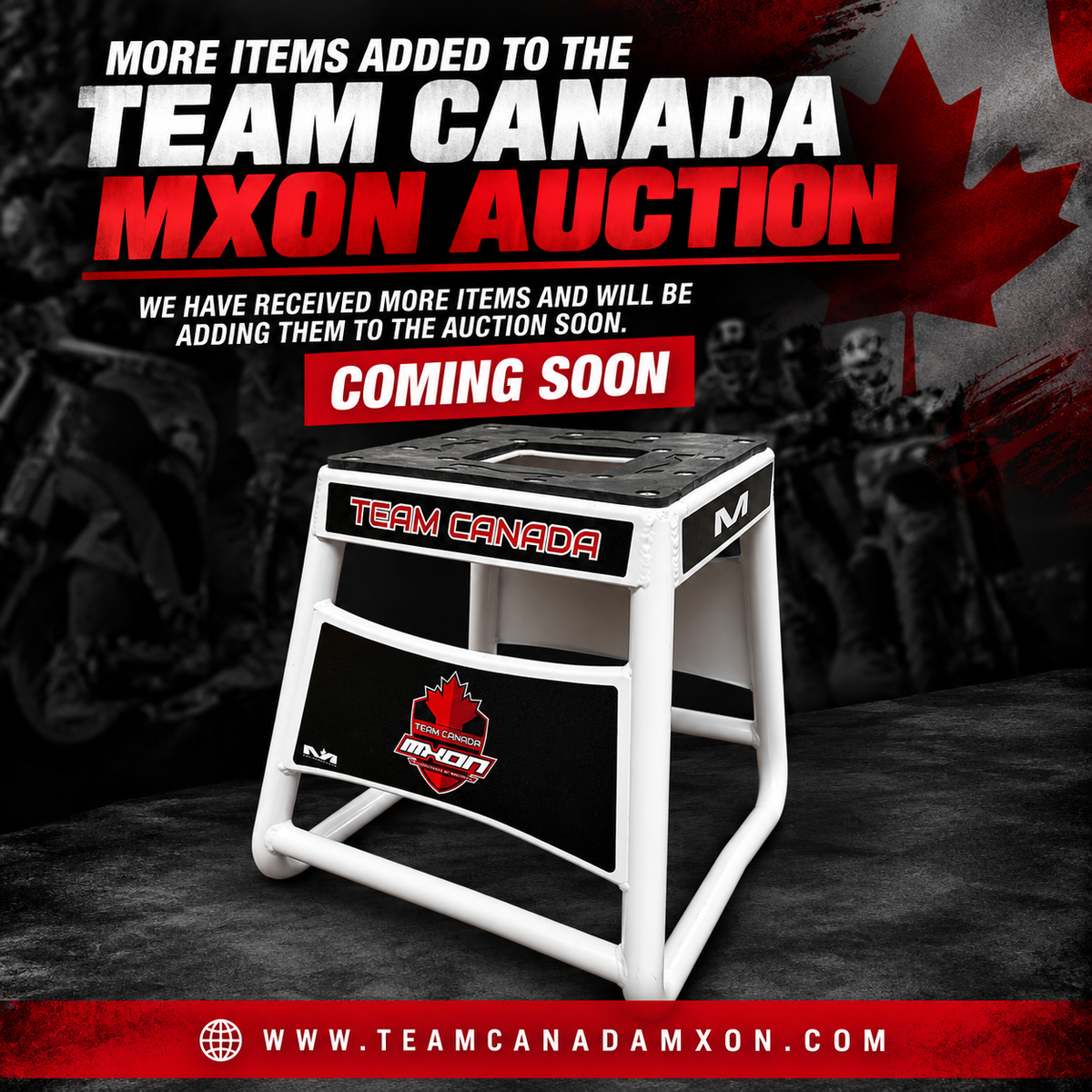 Team Canada 2025 Ironman Matrix Stand